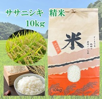 新米 特選ササニシキ 10㎏